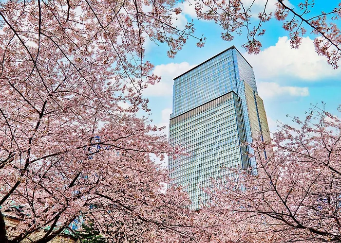 Best Hotels in Tokyo for an Unforgettable Stay