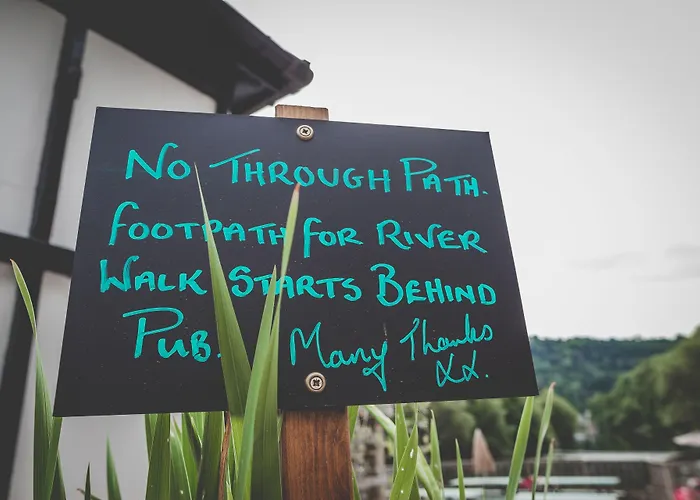 Top Hotels in Symonds Yat West for an Unforgettable Stay