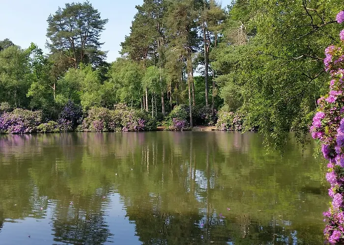 Best Hotels Near Wokingham for Memorable Stays