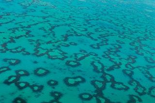 Wilson Island